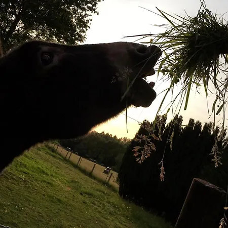 Les Chevreuils Bed & Breakfast 3*